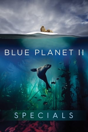 Blue Planet II T 0 C 1 online gratis