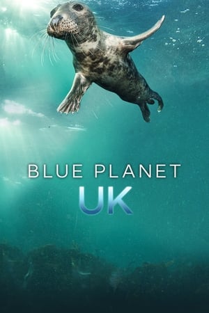 Blue Planet UK Online free