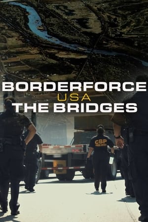 Borderforce USA The Bridges Season  4 online