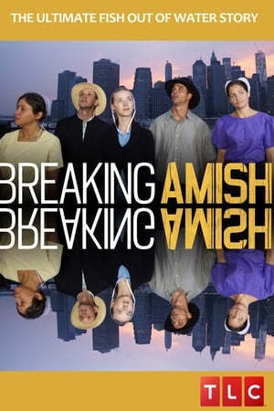 Breaking Amish online free