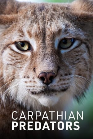 Carpathian Predators Season  1 online