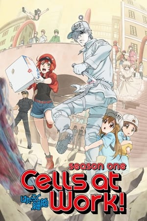 Cells at Work! T 1 C 3 online gratis