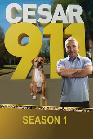 Cesar 911 Season  1 online