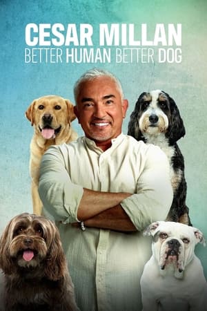 Cesar Millan: Better Human, Better Dog Season  5 online