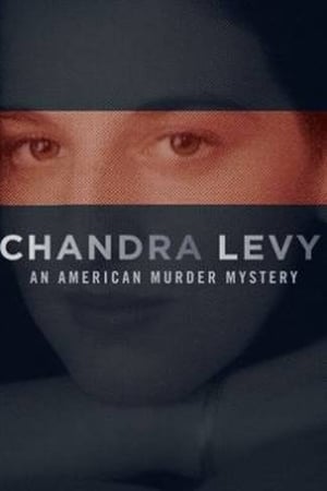 Chandra Levy: An American Murder Mystery online free