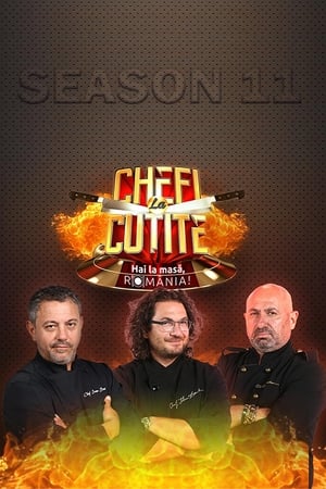 Chefi la cutite Season  11 online