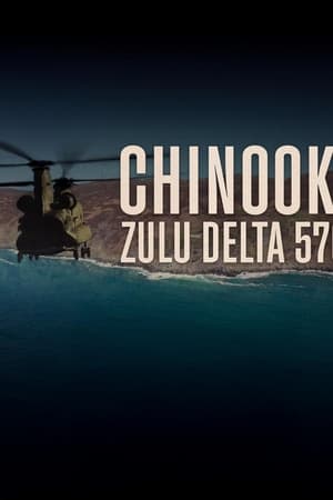 Chinook: Zulu Delta 576 online free