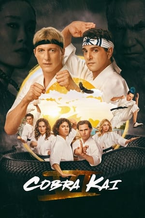 Cobra Kai Season  6 online