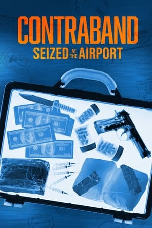 Contraband: Seized at the Airport online free