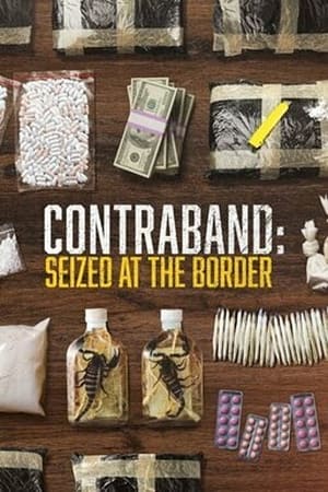 Contraband: Seized at the Border T 3 C 6 online gratis