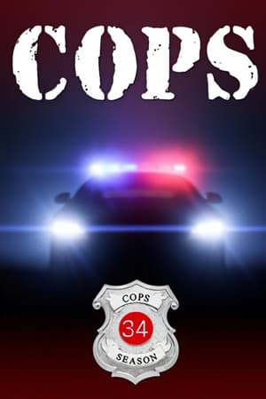 Cops Season  34 online