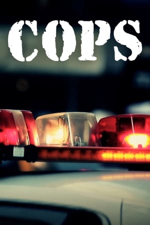 Cops T 9 C 7 online gratis