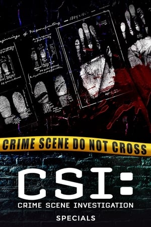 CSI: Crime Scene Investigation Season  0 online