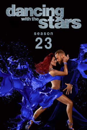 Dancing with the Stars Season  23 online