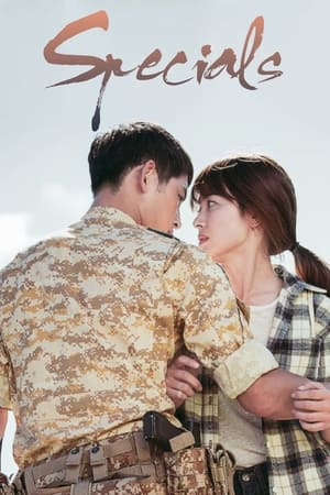 Descendants of the Sun Season 0 online free