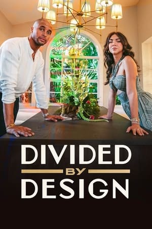 Divided by Design online free