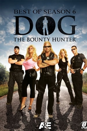 Dog the Bounty Hunter Season  6 online