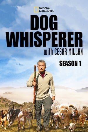 Dog Whisperer Season  1 online