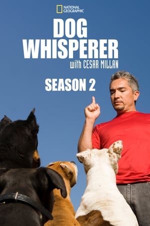 Dog Whisperer Season  2 online