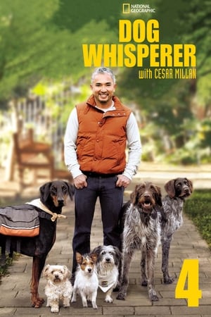 Dog Whisperer Season  4 online