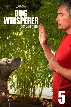 Dog Whisperer Season  5 online