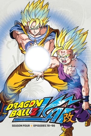 Dragon Ball Z Kai Season  4 online