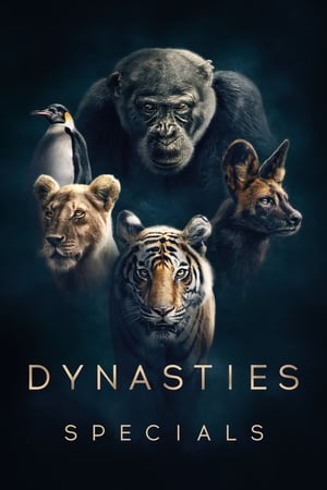 Dynasties Season  0 online