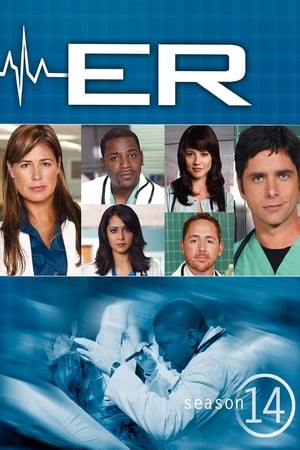 ER Season  14 online