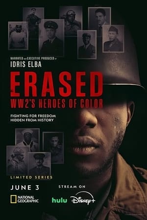 Erased: WW2's Heroes of Color online free