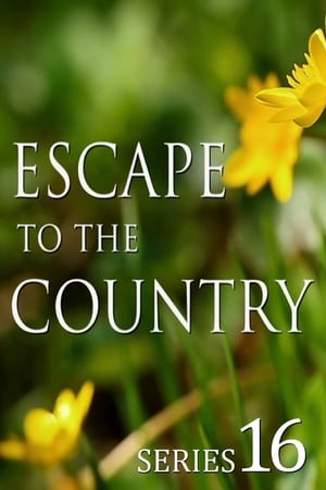 Escape to the Country T 16 C 19 online gratis