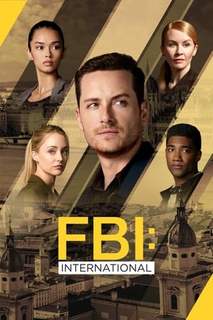 FBI: International Season  4 online