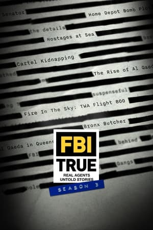 FBI TRUE Season  3 online