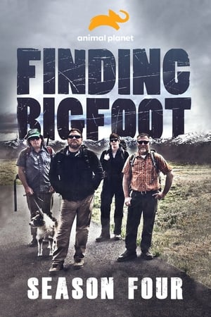 Finding Bigfoot Season  4 online