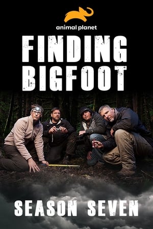 Finding Bigfoot T 7 C 6 online gratis