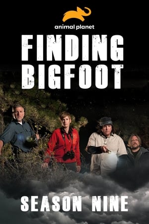 Finding Bigfoot Season  9 online