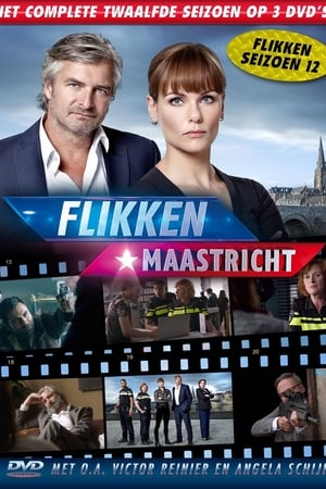 Flikken Maastricht Season 12 online free