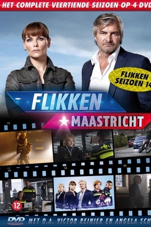 Flikken Maastricht T 14 C 13 online gratis