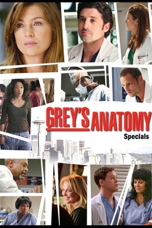 Grey's Anatomy Season  0 online