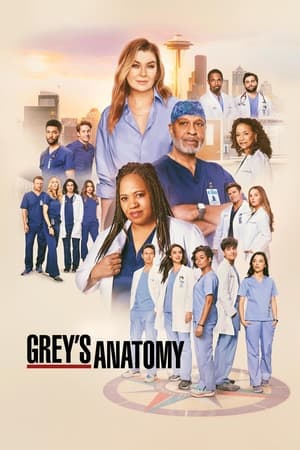 Grey's Anatomy Season  21 online