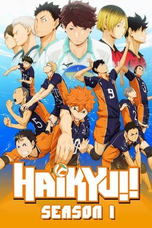 Haikyu!! Season  1 online