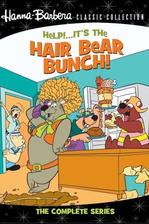 Help!... It's the Hair Bear Bunch! online free