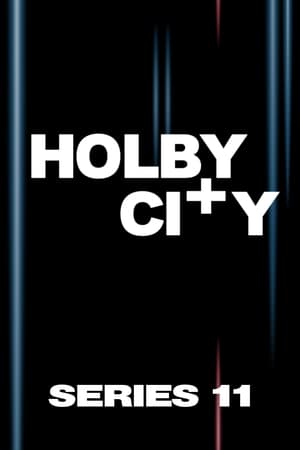 Holby City Season  11 online