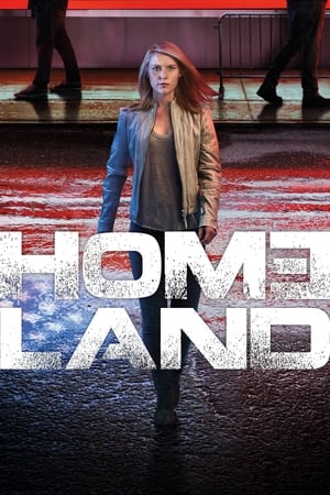 Homeland Season 6 online free