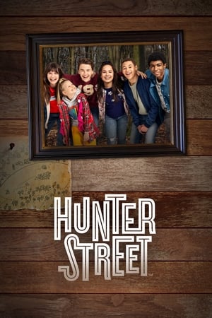 Hunter Street Season  4 online