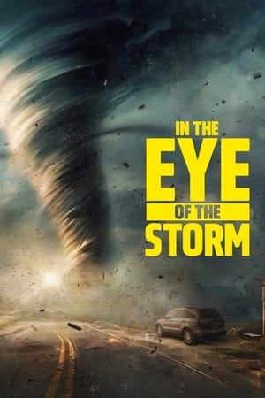 In the Eye of the Storm Season  1 online