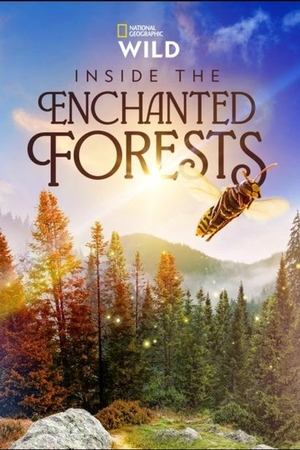 Inside the Enchanted Forests online free