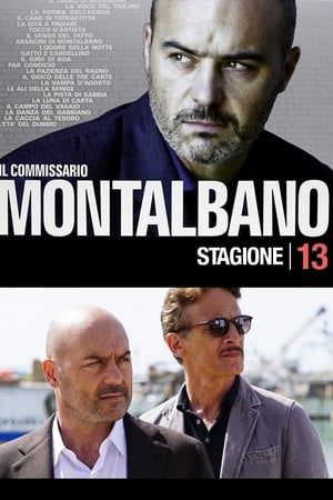 Inspector Montalbano T 13 C 2 online gratis