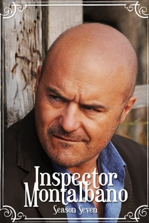 Inspector Montalbano Season 7 online free