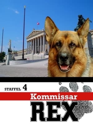 Inspector Rex T 4 C 10 online gratis