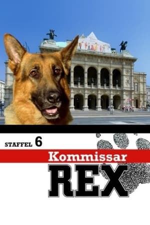 Inspector Rex T 6 C 10 online gratis